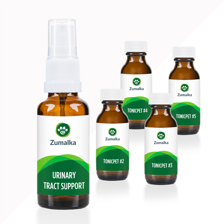 Urinary Tract Support- Advanced