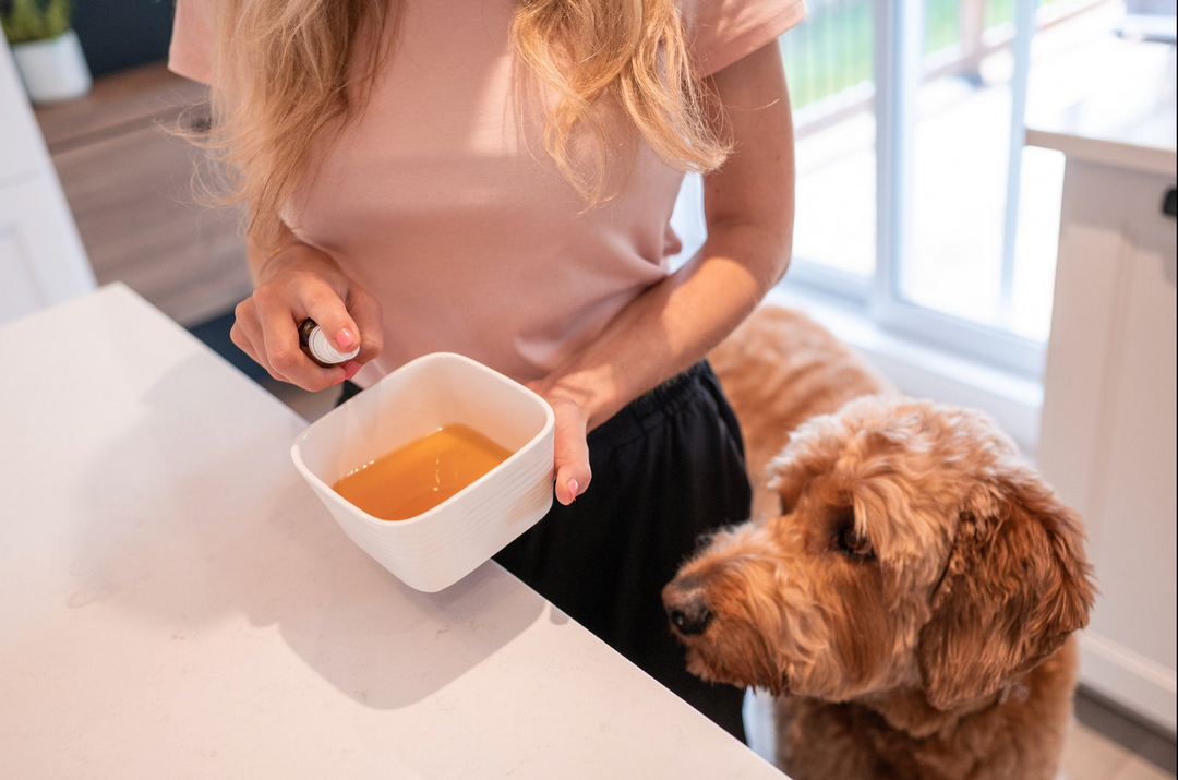 Bad Breath - Optimal