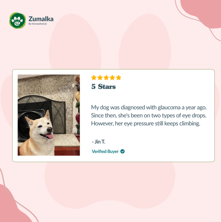 Eye Pressure Support