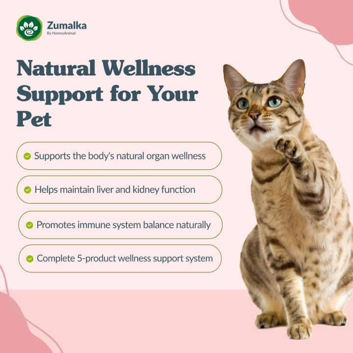 General Detoxification