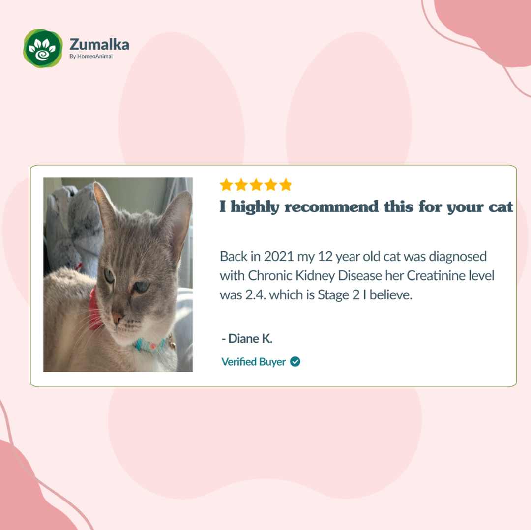 General Detoxification