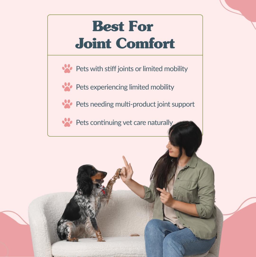 Get Up N Go - Advanced