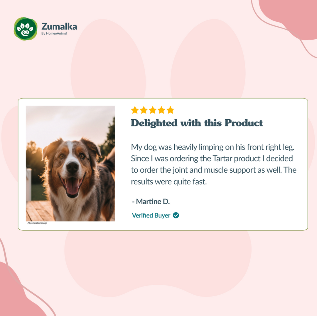 Get Up N Go - Advanced