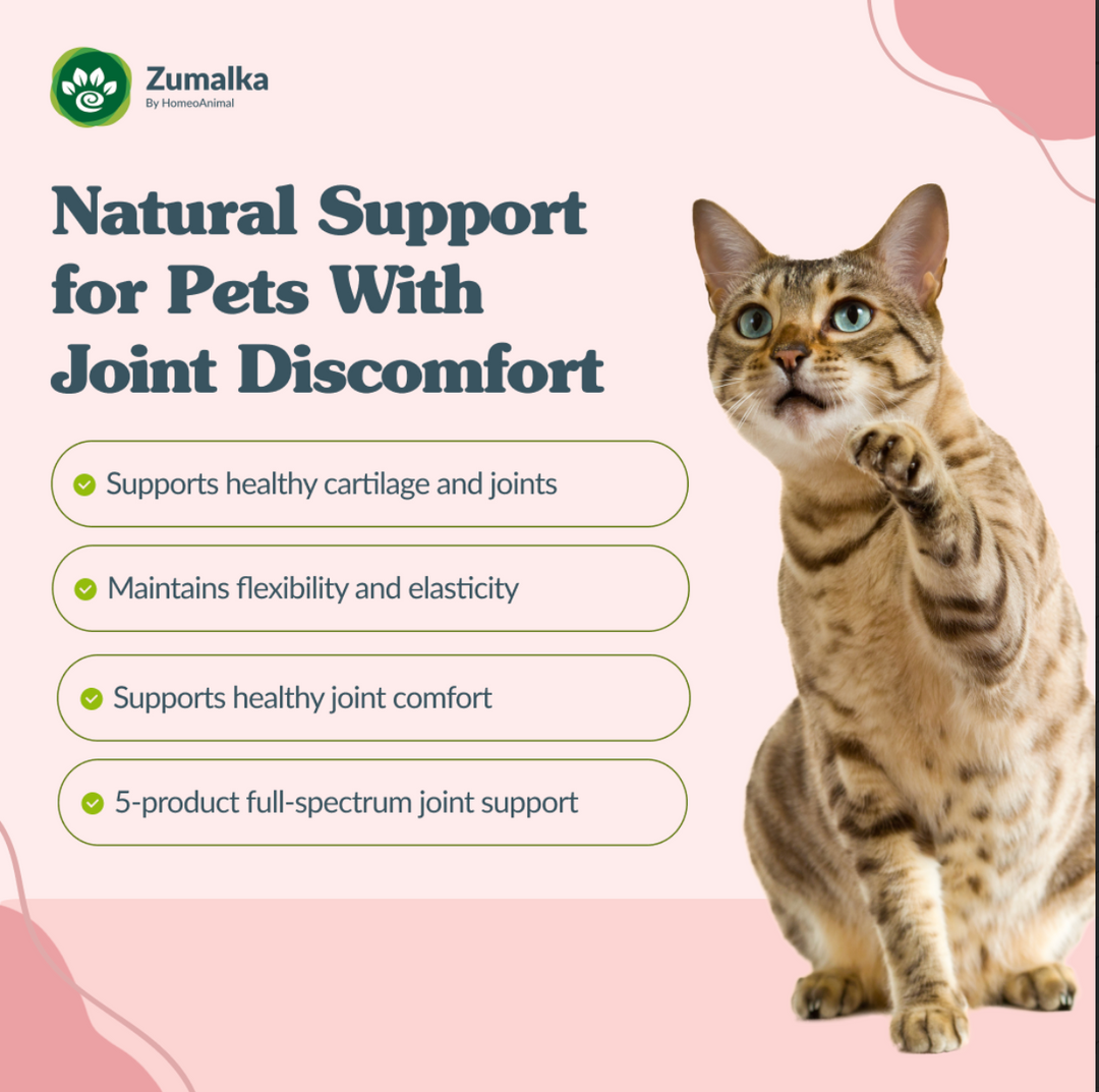 Get Up N Go - Optimal