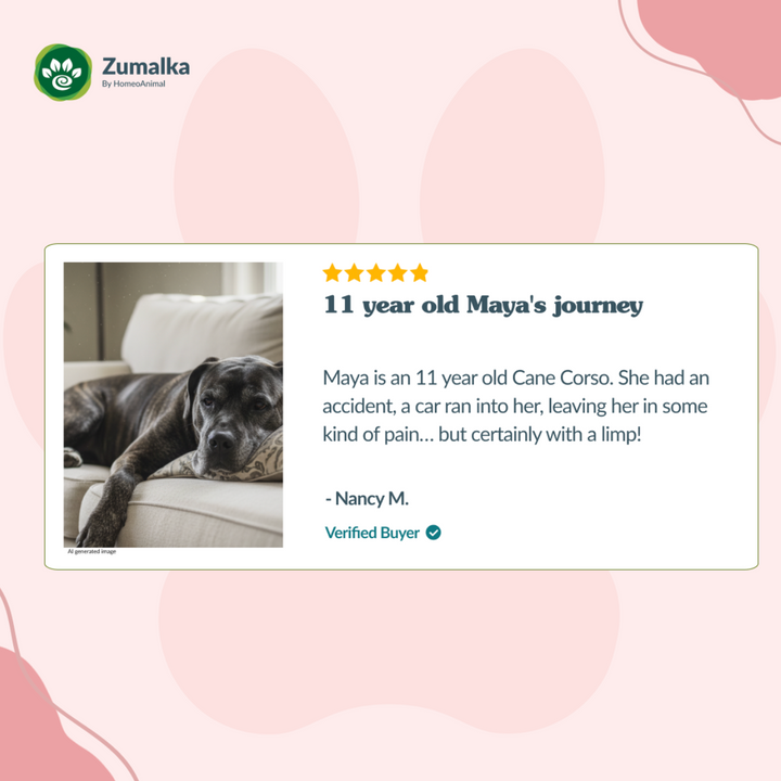 Get Up N Go - Optimal