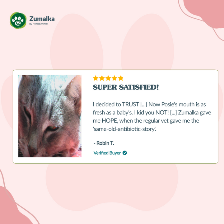 Gumhappy Optimal Kit: Complete Gum Support for Pets