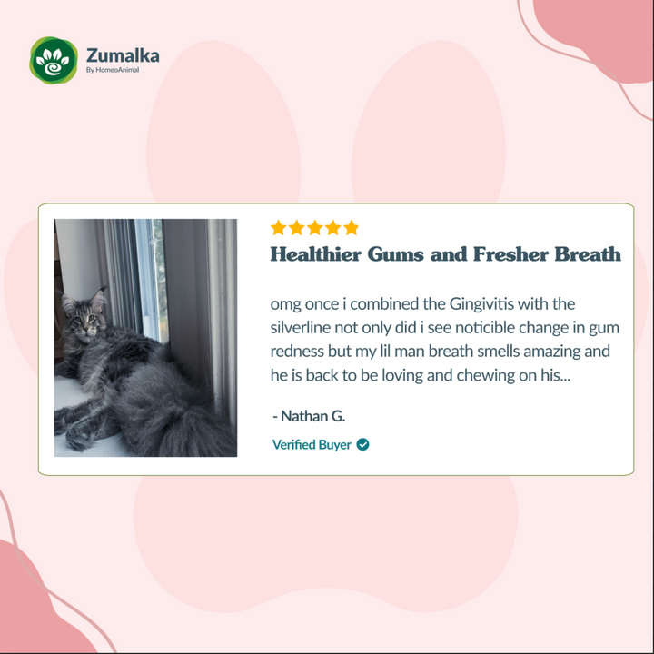 Gumhappy (gingivitis)