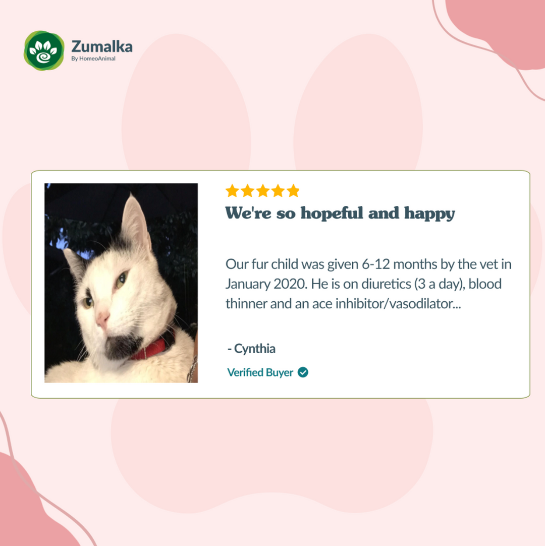 Heartpet - Advanced
