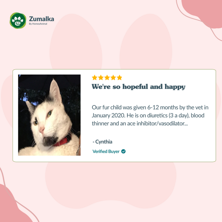 Heartpet - Advanced