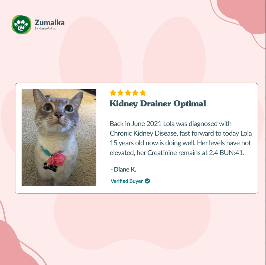 Drenador de riñones - Óptimo