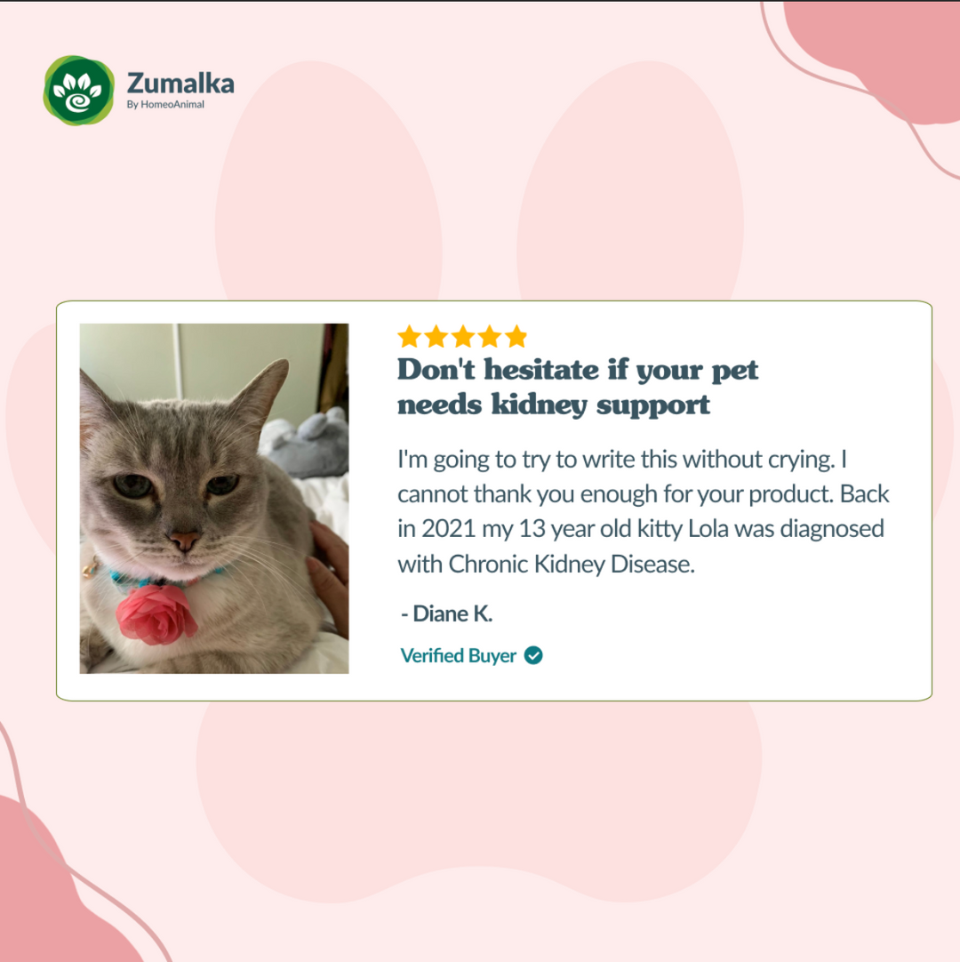 Soporte renal - Óptimo