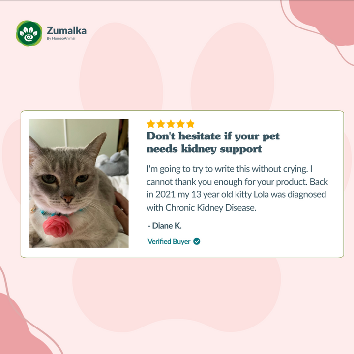 Soporte renal - Óptimo