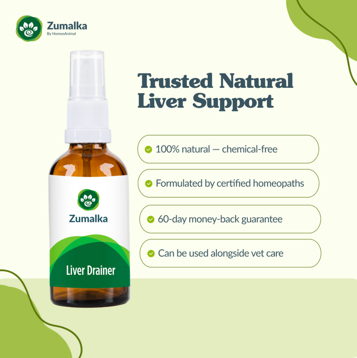 Drenador de hígado - Avanzado