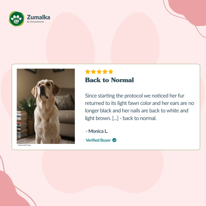 Drenador de hígado - Avanzado