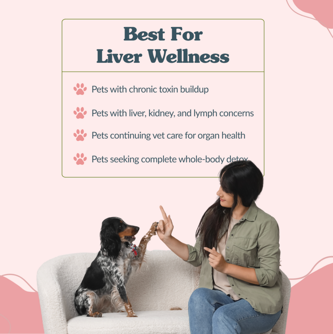 Liver Drainer- Optimal