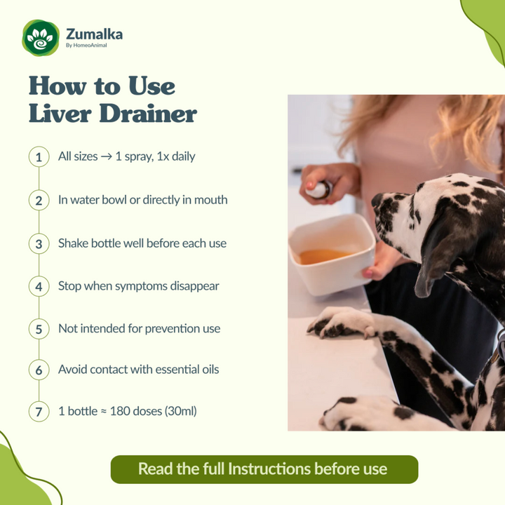 Liver Drainer (desintoxicación de hígado)