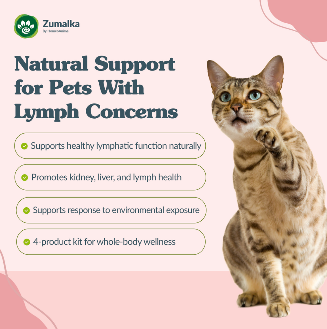 Lymph Drainer - Optimal