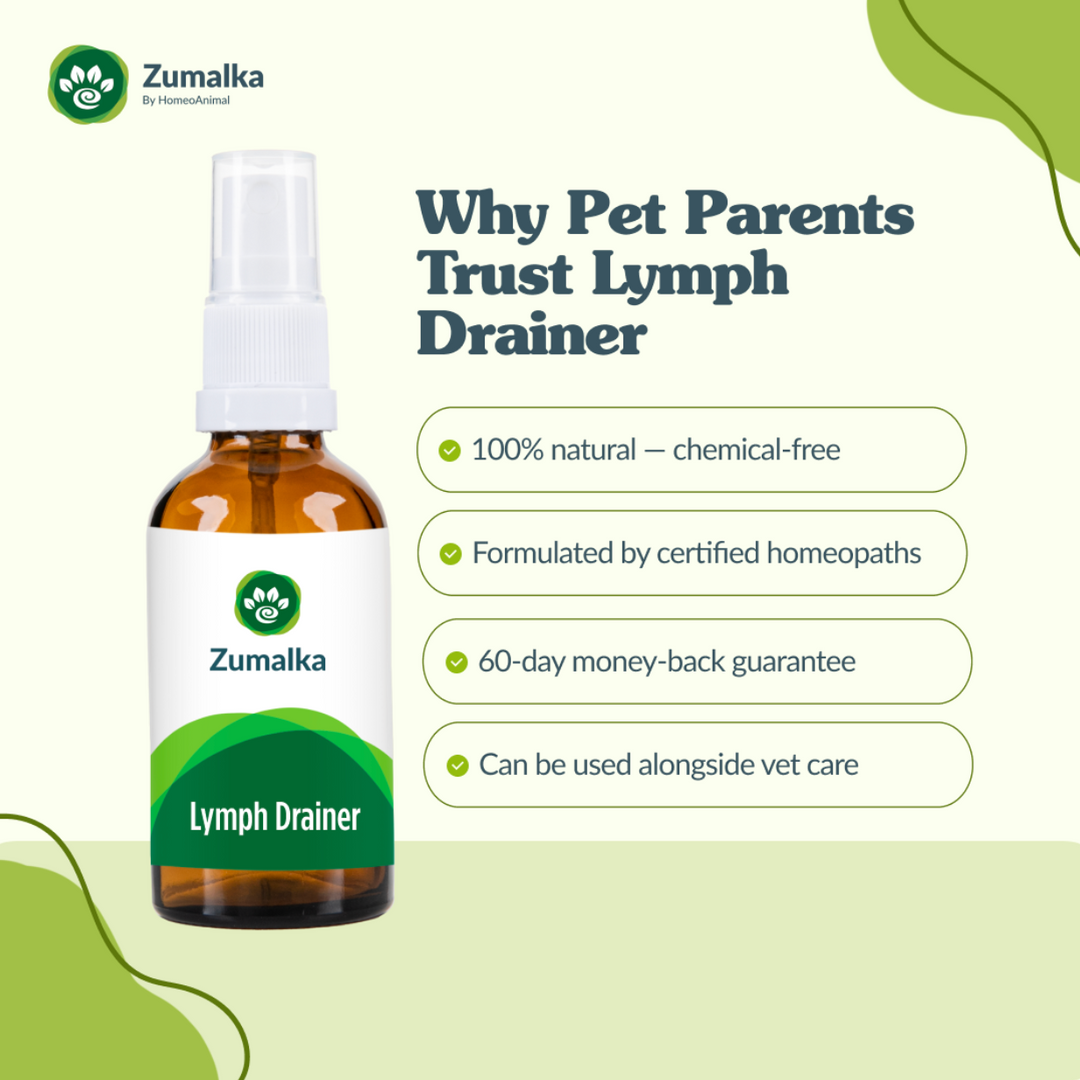 Lymph Drainer - Optimal