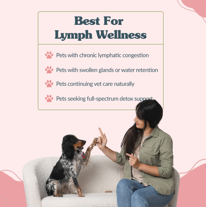 Lymph Drainer - Optimal