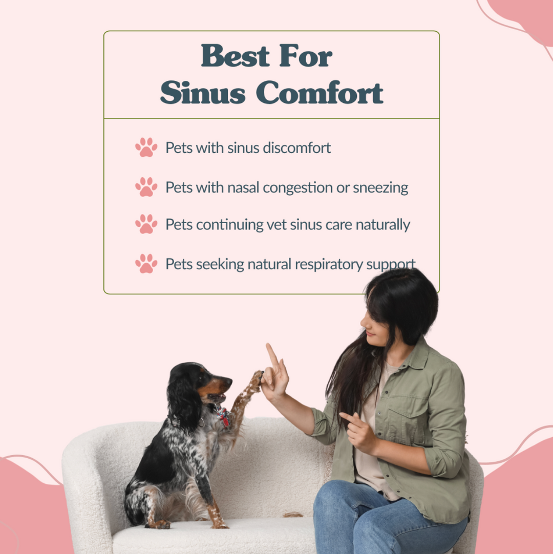 Sinupet (sinusitis)