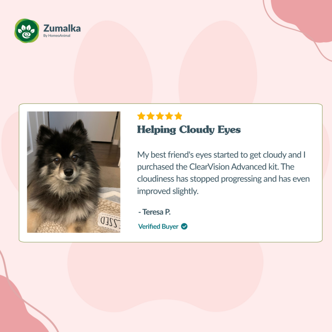 ClearVision Advanced Kit: Enhanced Eye Support for Pets