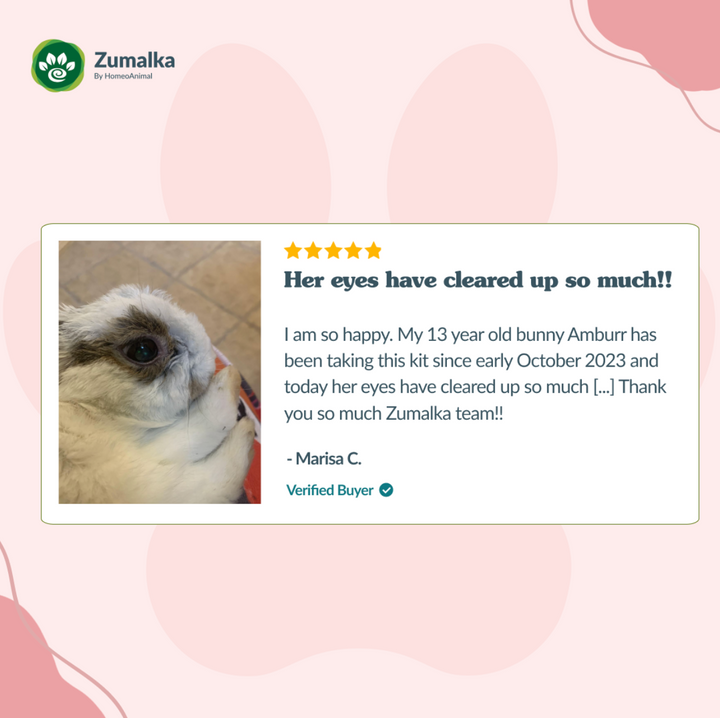 ClearVision Optimal Kit: Complete Eye Wellness for Pets