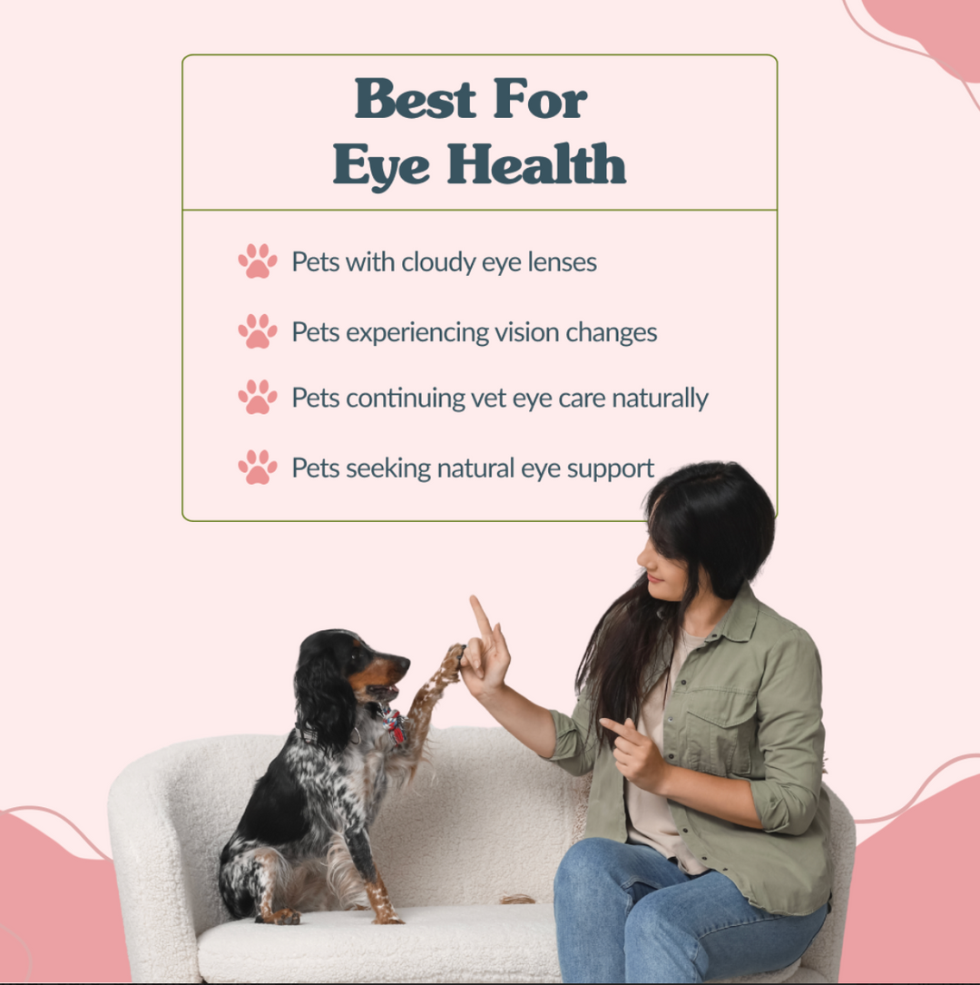 ClearVision (catarata)