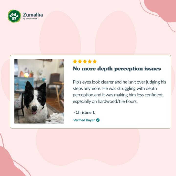 ClearVision (catarata)