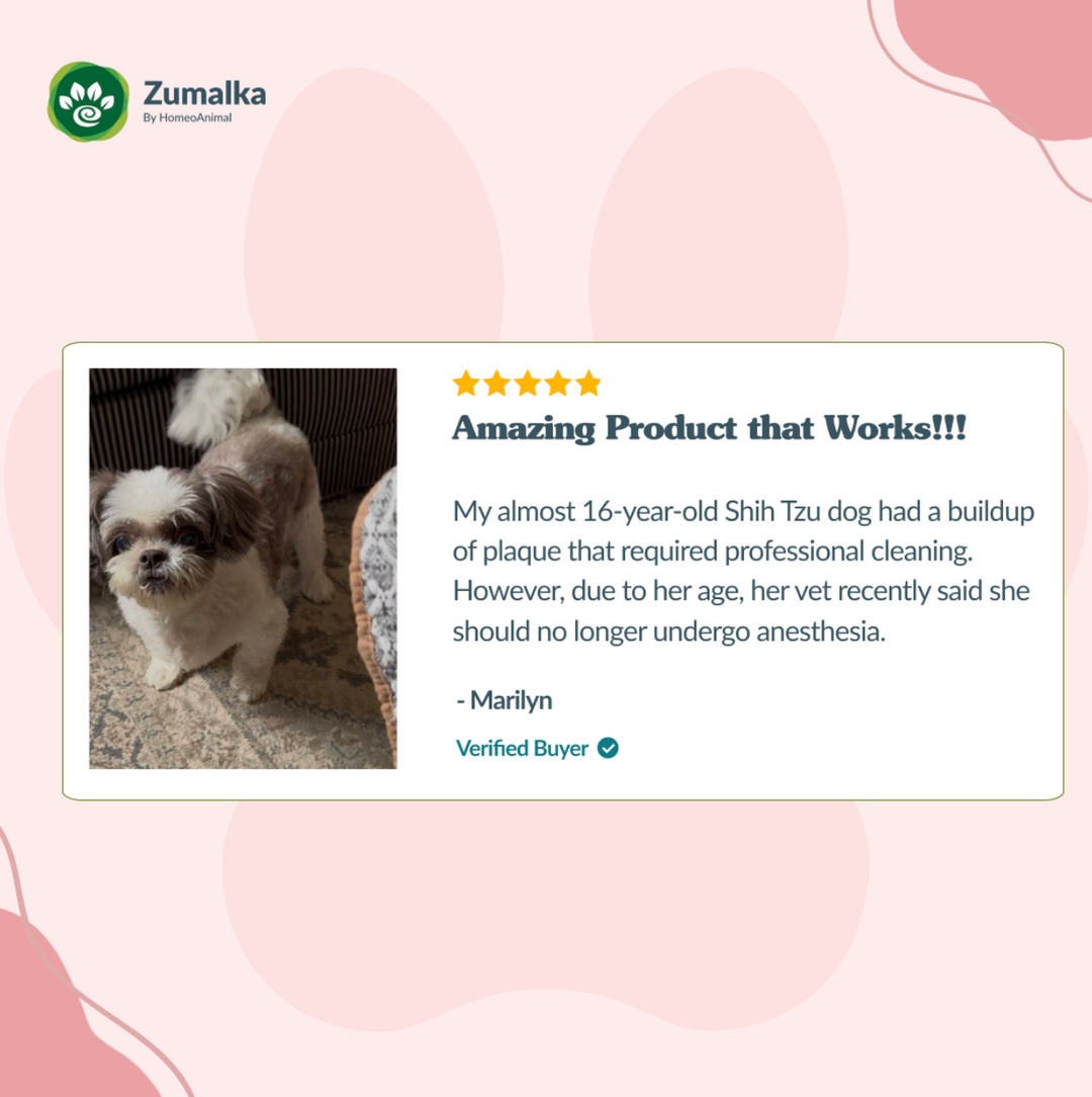 Tartar Control: Natural Oral Remedy for Dogs and Cats