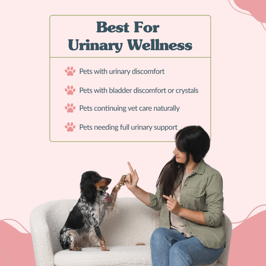 Urinary Tract Support- Advanced
