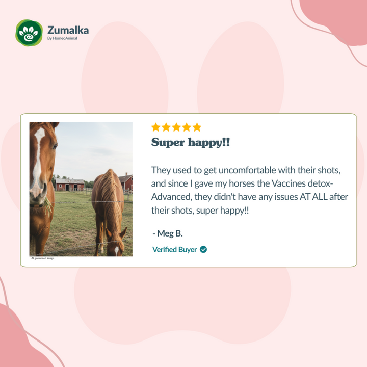 Vaccine Detox - Advanced