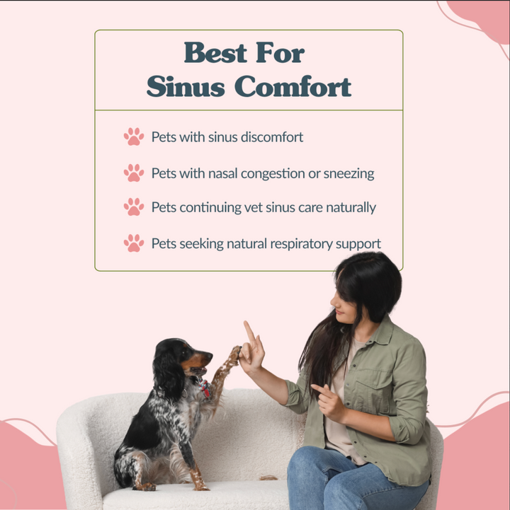 Sinupet