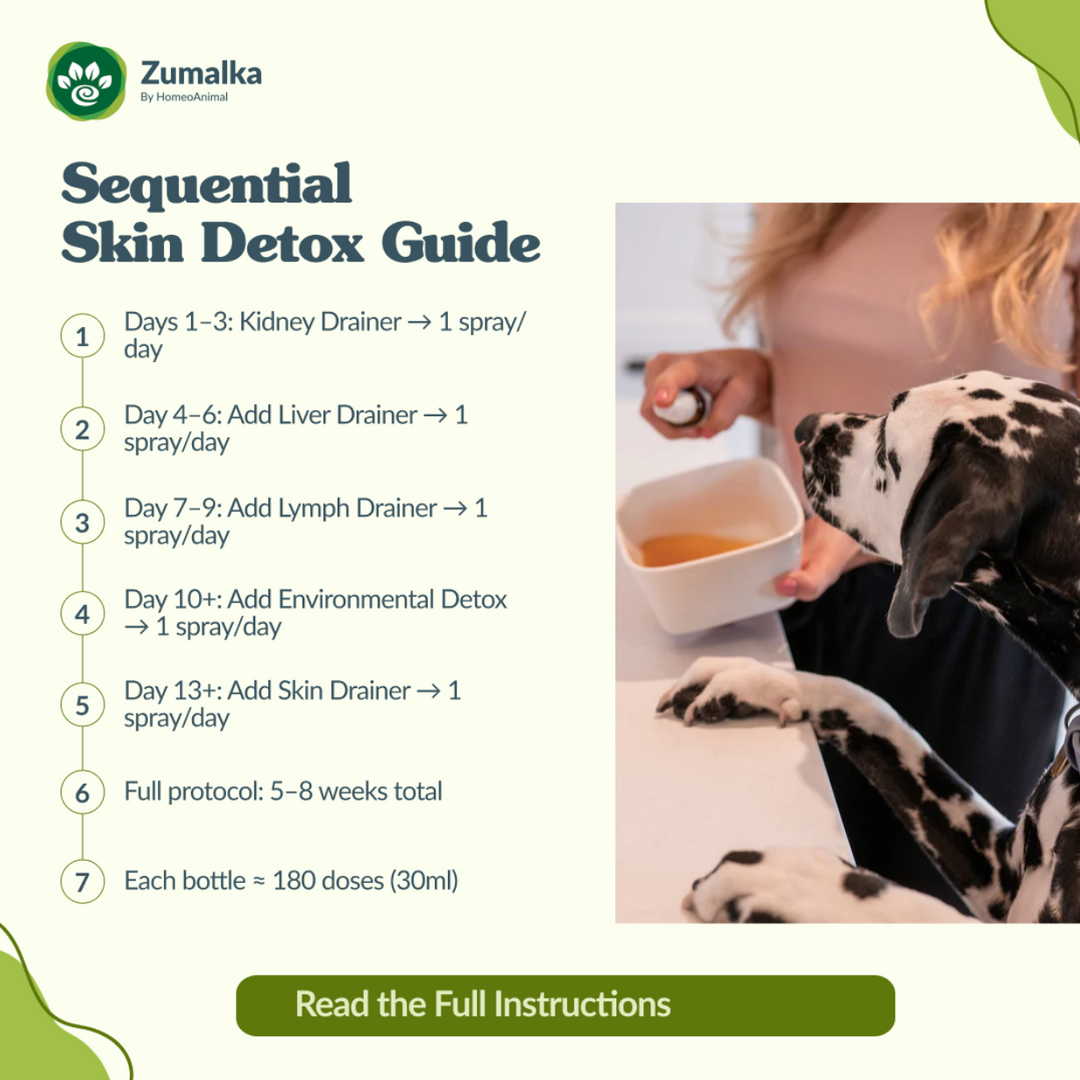 Skin Drainer - Optimal