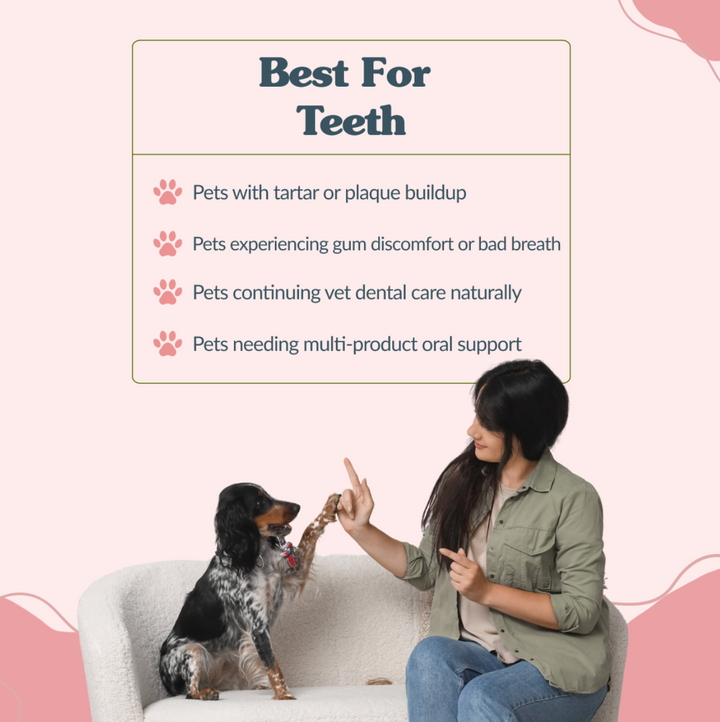 Tartar Control Advanced Kit: Complete Oral Support for Pets