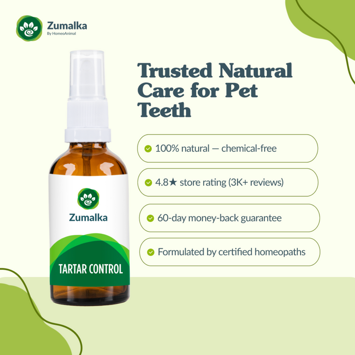 Tartar Control: Natural Oral Remedy for Dogs and Cats