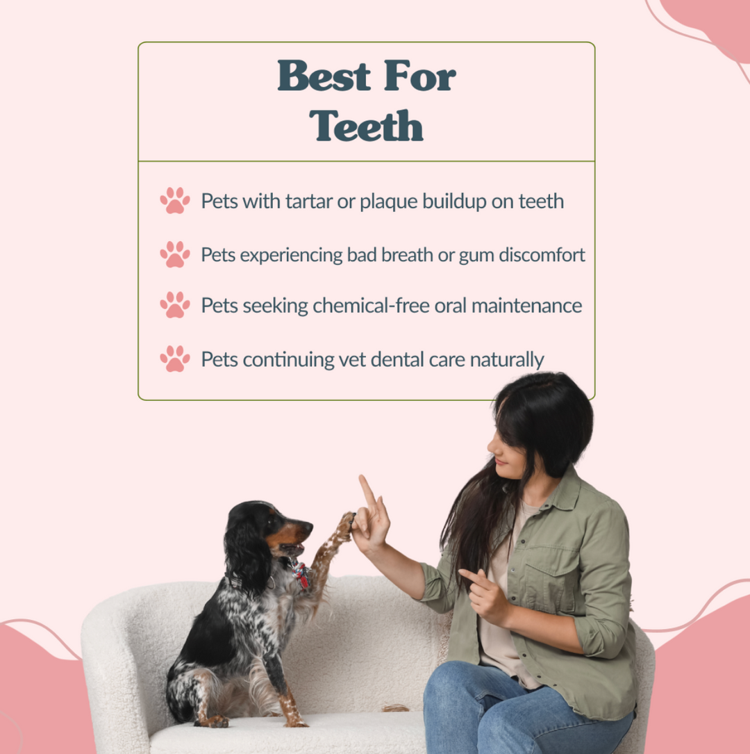 Tartar Control: Natural Oral Remedy for Dogs and Cats