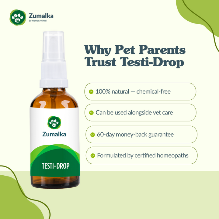 Testi-Drop