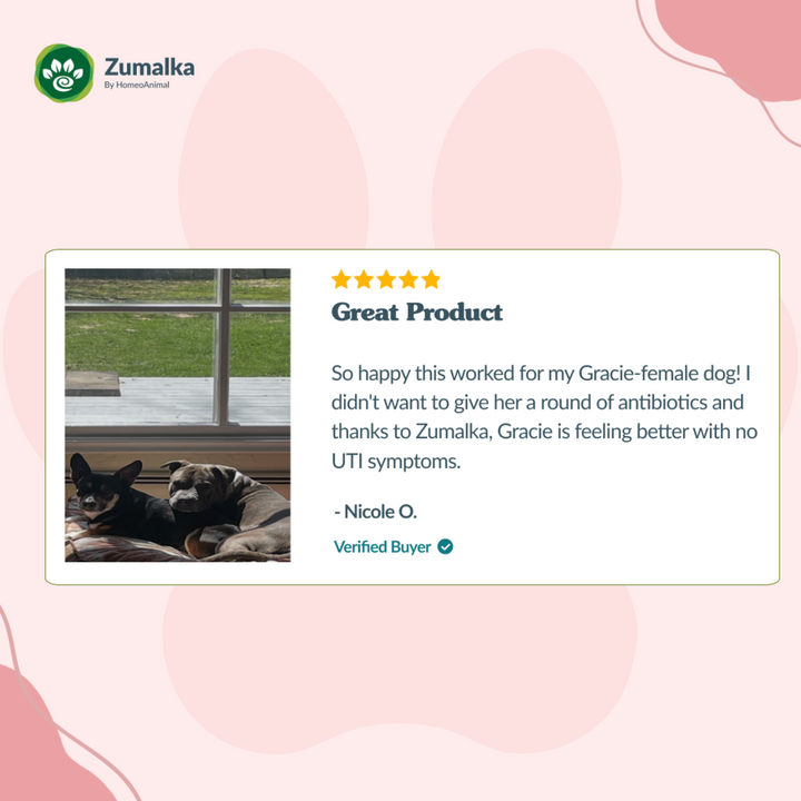 Urinary Tract Support