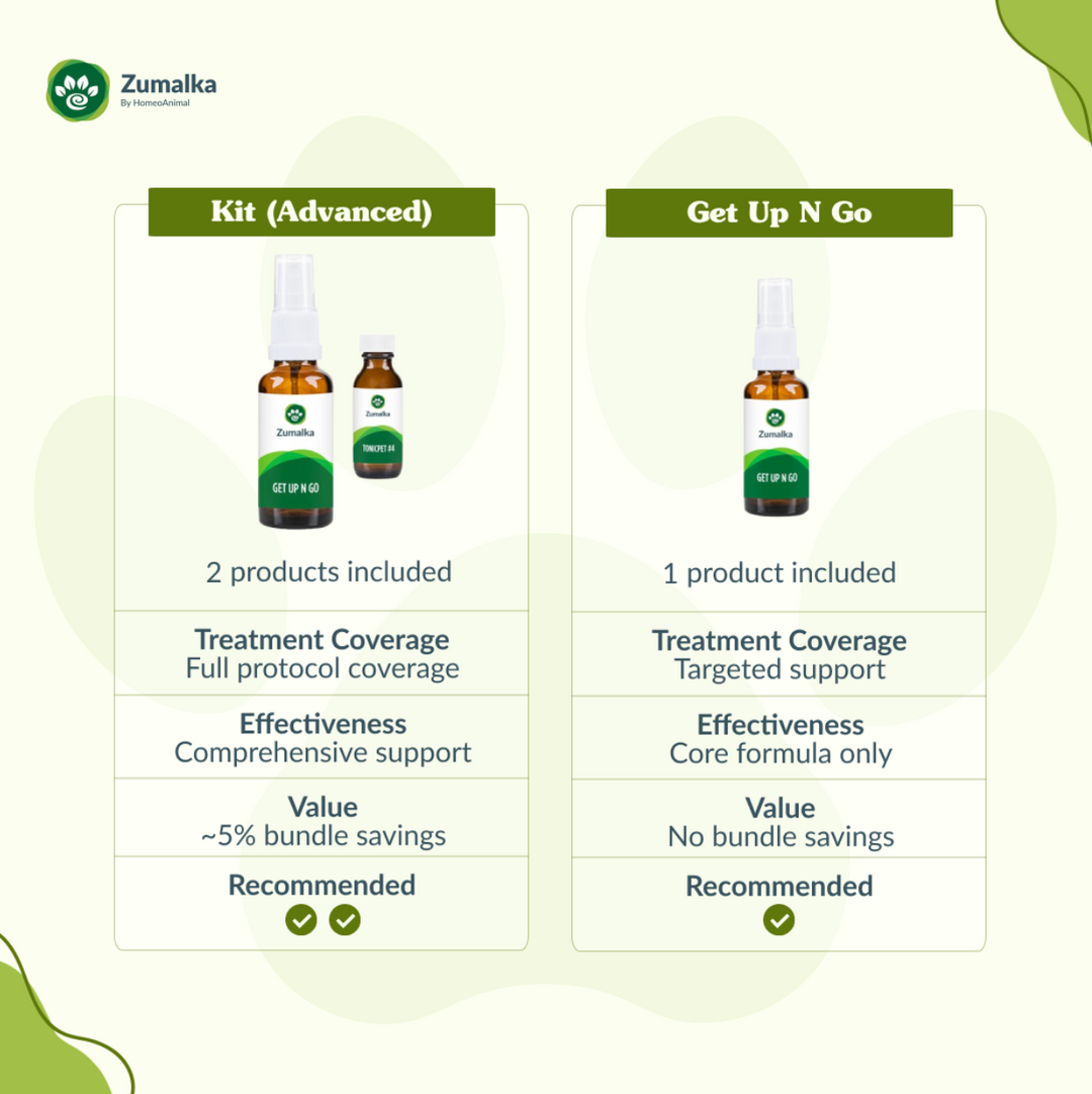 Get Up N Go - Advanced