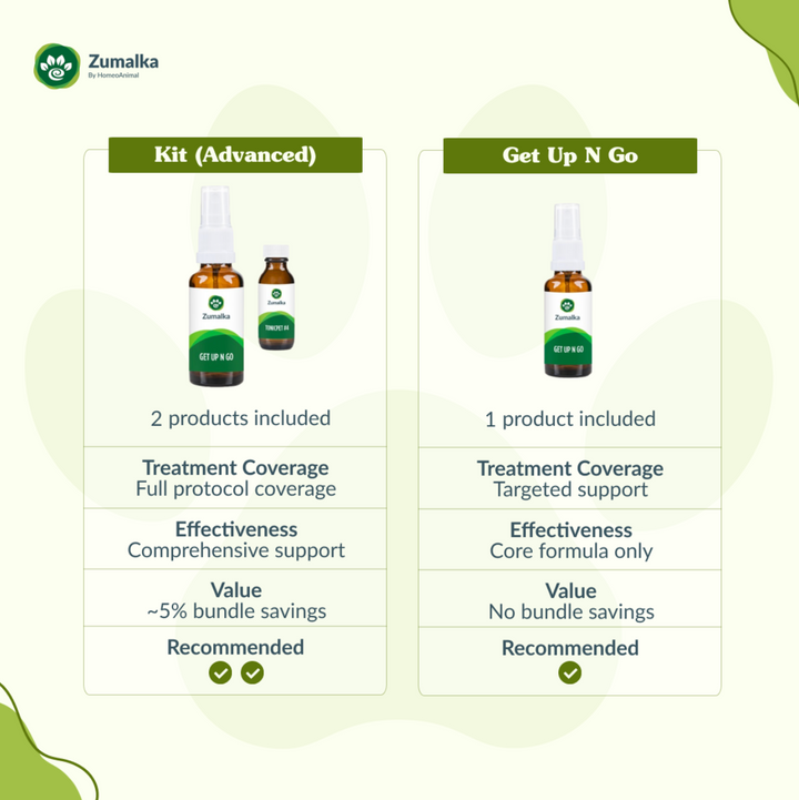 Get Up N Go - Advanced