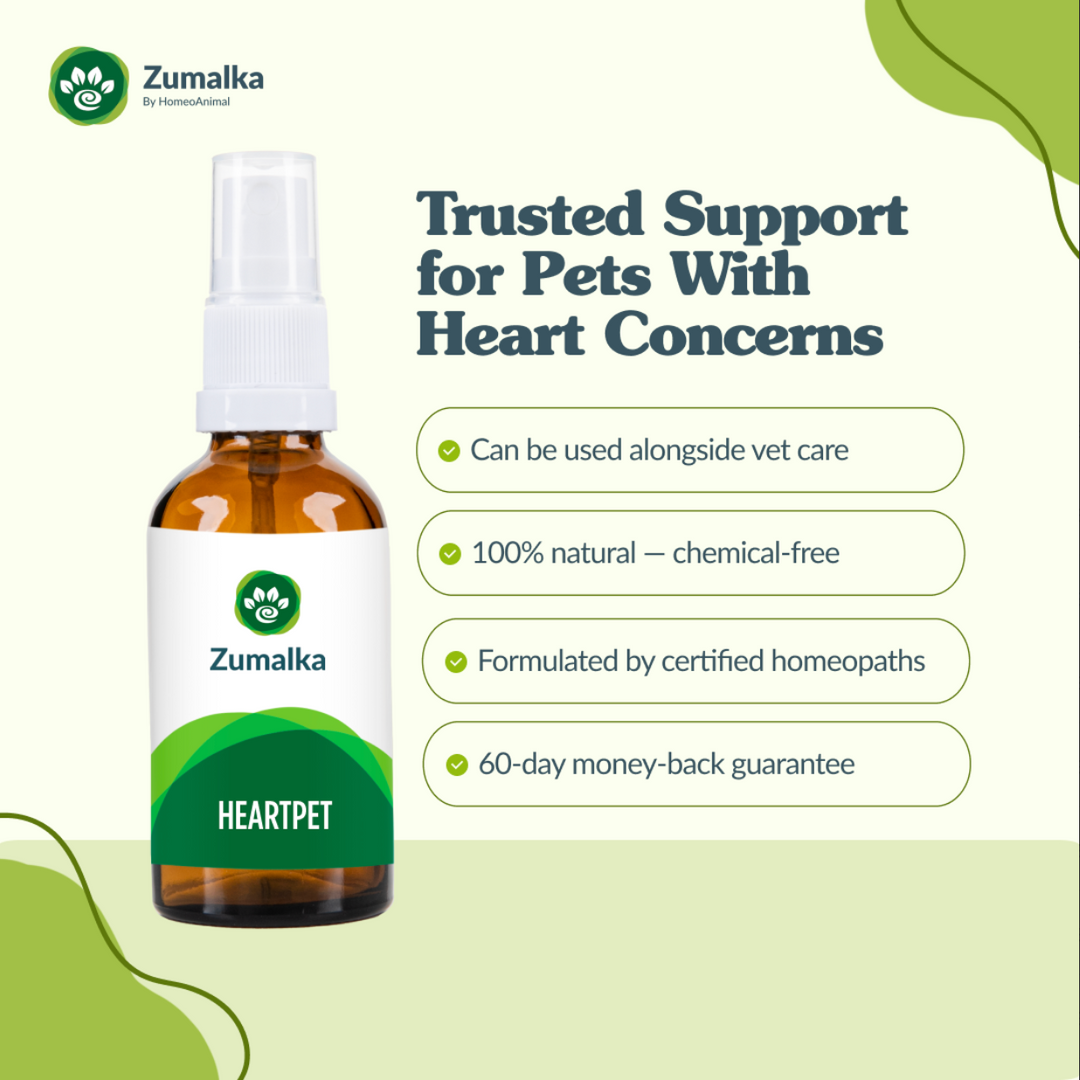 Heartpet