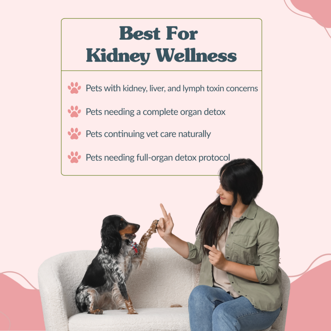 Kidney Drainer - Advanced