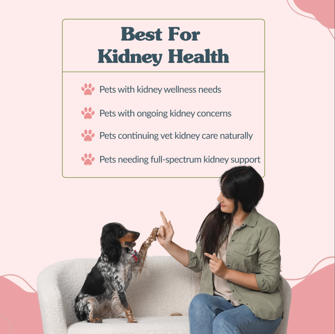 Kidney Support Optimal Kit: Complete Kidney Wellness for Pets