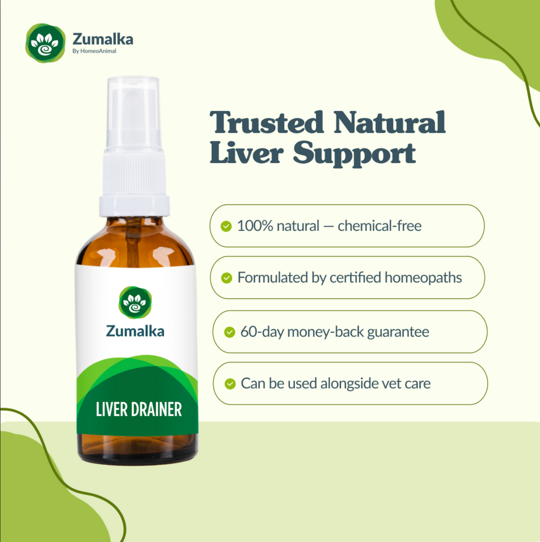 Liver Drainer - Advanced