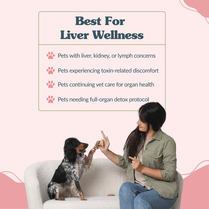 Liver Drainer - Advanced