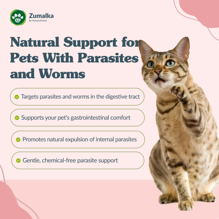 Parasites and Worms