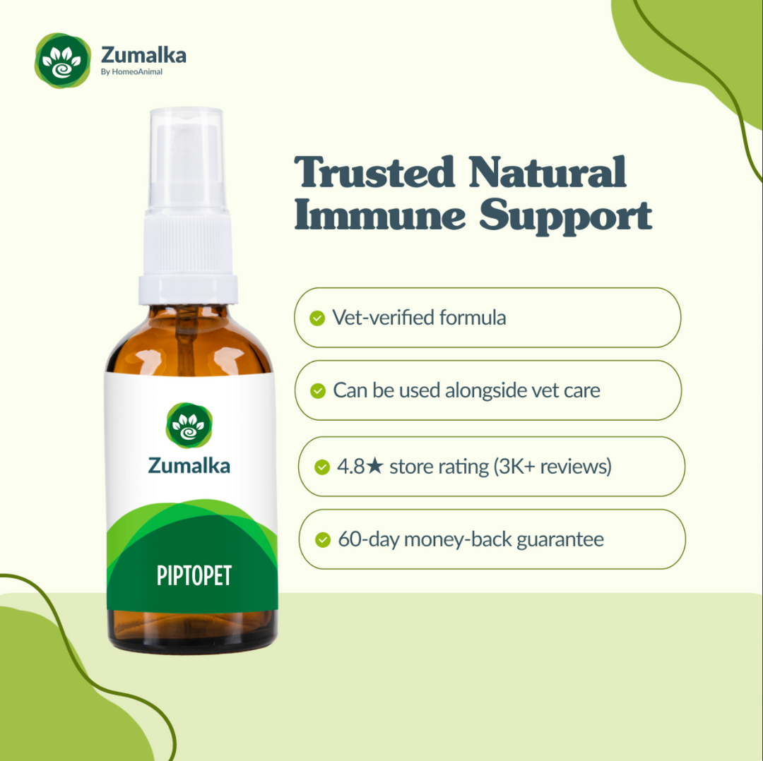 Piptopet Advanced Kit: Enhanced Immune Support for Pets