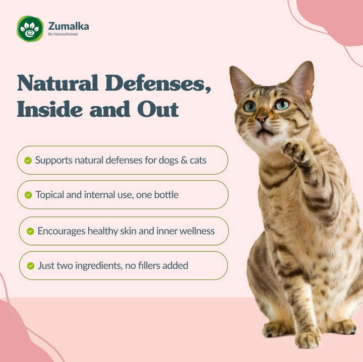 Silverpet: Natural Immune Support for Dogs and Cats