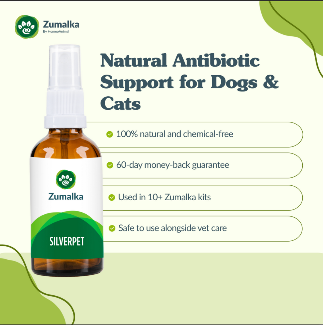 Silverpet: Natural Immune Support for Dogs and Cats