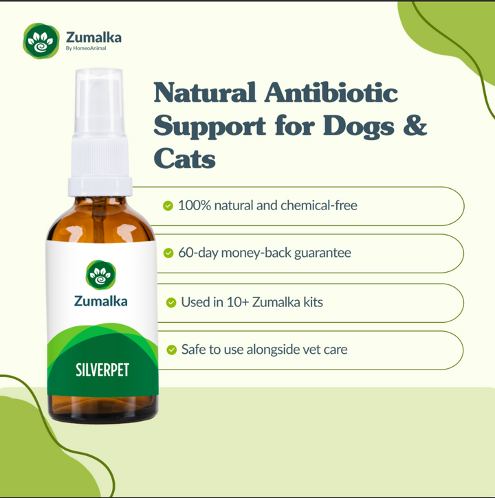 Silverpet: Natural Immune Support for Dogs and Cats